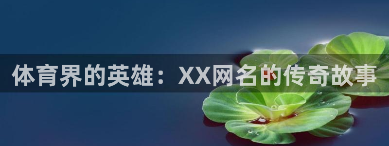 米兰体育下载官网最新版