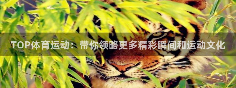 米兰体育平台