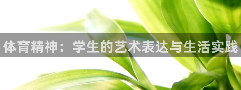 米兰体育官方下载入口