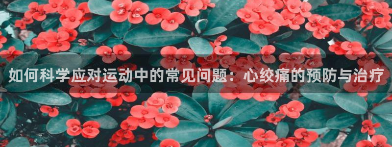 米兰体育中心