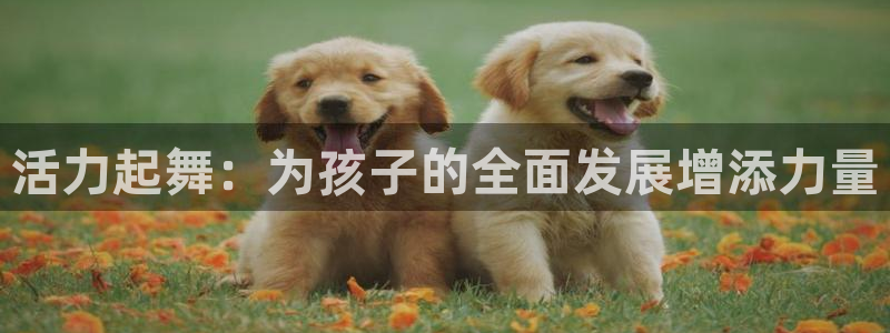 米兰体育入口