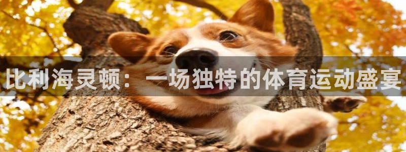 米兰体育网站