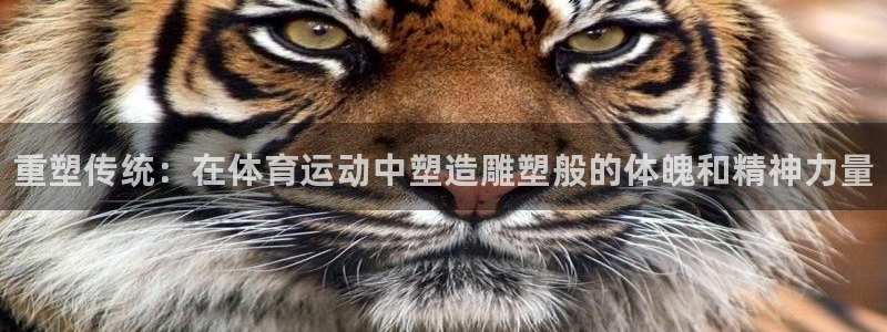 米兰体育怎么样