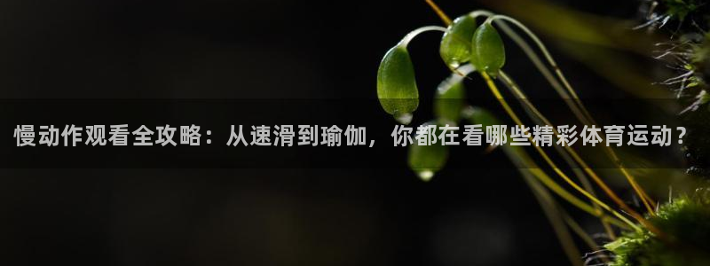 米兰体育官网