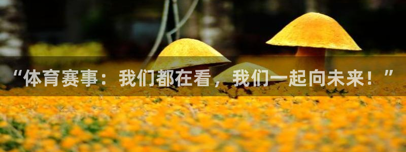 米兰体育官网