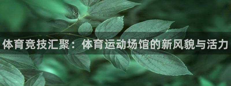 米兰体育