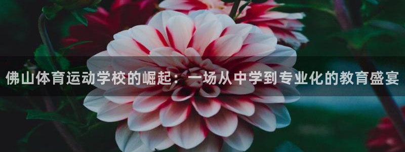米兰体育入口