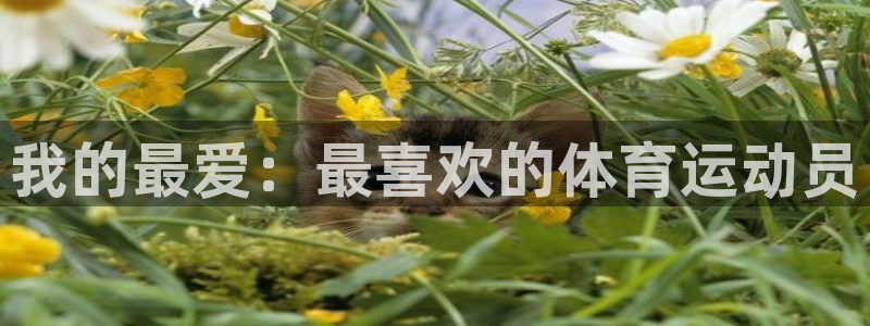 米兰体育