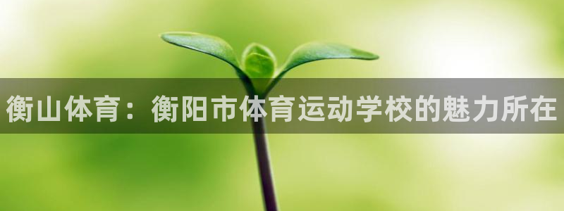 米兰体育最新版下载