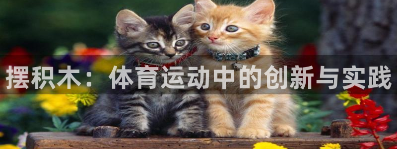 米兰体育网页版