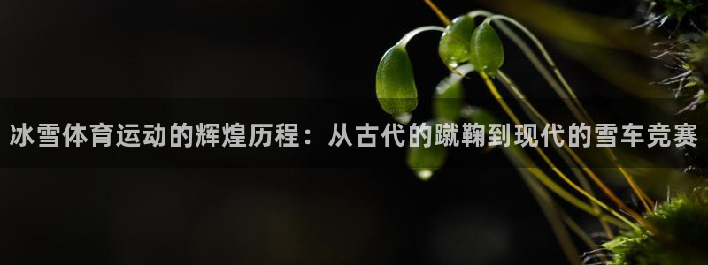 米兰体育报官网